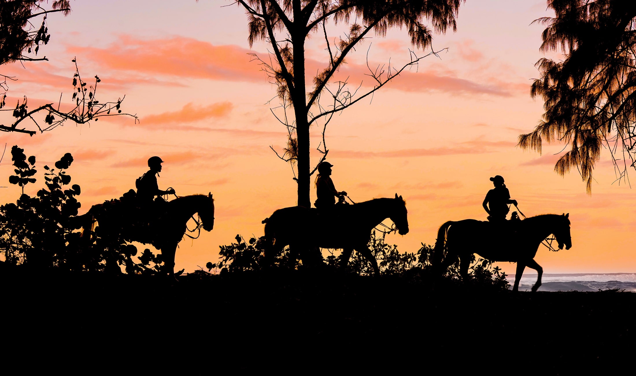 Personalized Concierge Service