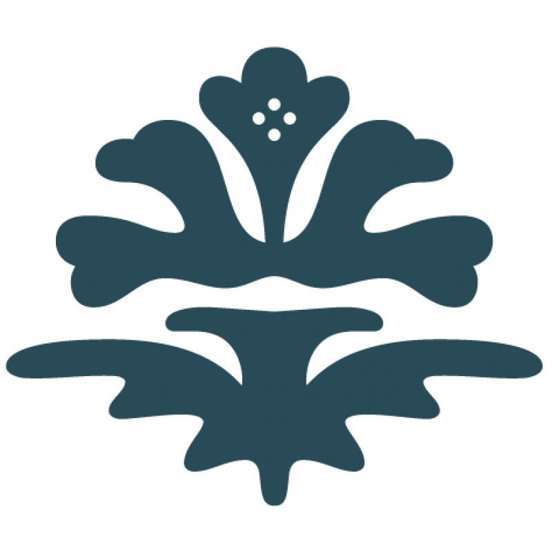 Toepool_Blue_NSC_ICON